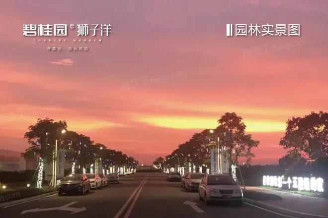 碧桂园狮子洋二期