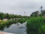 项目东河景