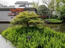 人字坡顶青瓦黛墙海派江南,中位的合院边套(全款)