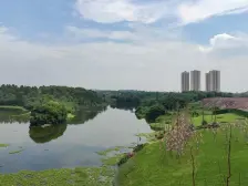 蓝光鹭湖长岛,3房高层交通方便户型方正