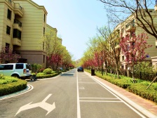 近海的联排 边户别墅 亲海封闭小区 看房有钥匙