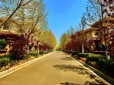 鲁能琴海园联排别墅四室两厅一厨三卫毛坯出售