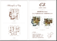 洋房C3户型