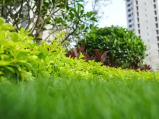 天鹅堡,毛坯3房,向南望花园,喜欢自己装修的看过来