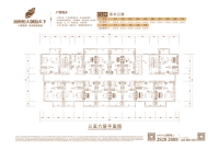 C12幢409房