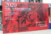 2020中国芜湖国际摄影艺术展