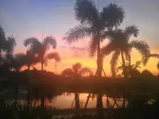 小区配套成熟 博爱湖边上 旺中带静