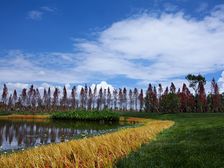滇池ONE精装修端户车库可以停3辆车诚心出售