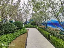 好楼层,阳光充沛,出行方便,环境优美