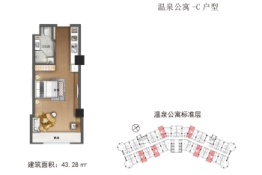 仙那度1室1厨1卫建面43.28㎡