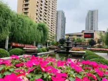 滨河世家 大三居 精装修 业主诚售