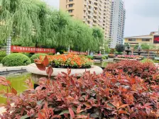 滨河世家 前排无遮挡 看房有钥匙