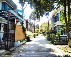 东软青城逸景3室2厅南北
