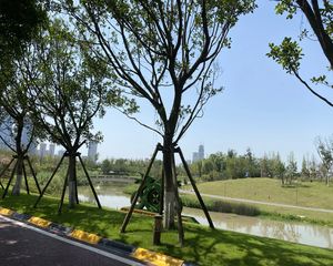 万达华府 4室2厅 南