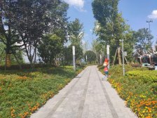 龙兴足球场医院旁英伦风别墅环境优美