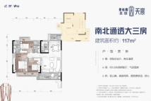 碧桂园圣塔·天宸117㎡三房