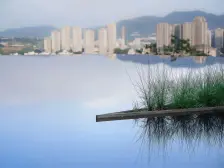 急急急!亏本处理。北滨路大平层,电梯入户。