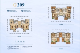 碧桂园梓山湖4室2厅1厨2卫建面206.00㎡