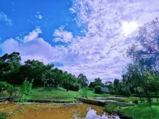 小区设施齐全,近佛山西站,环境空气好,望高尔夫球场