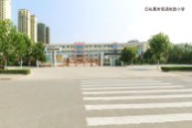 双语实验小学