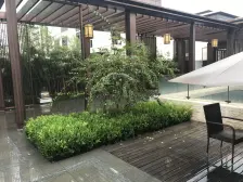 泰岳盛景别墅 环境好 交通方便