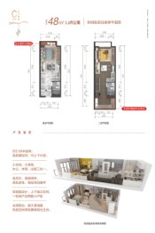 碧桂园时代城2室2厅2厨2卫建面48.00㎡