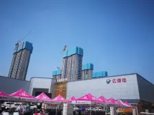 碧桂园双湖城 3室2厅 南