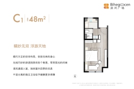 廊坊滨河广场1室1厅1厨1卫建面48.00㎡