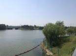金水湖景1