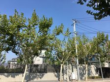 此房户型是小区比较经典三房两厅南北户型属于热门户型