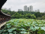 周边龙头寺公园