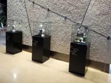 新希望锦麟玖玺 3室2厅 南 北