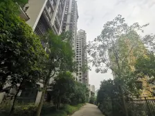 九华万隆清华坊单价2000出头丨湘潭北出行方便价格好谈