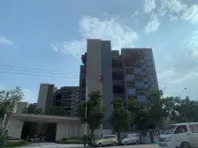 未来城市 4室1厅 东南