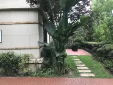 联排有天有地,带地下室 露台 花园 购房一步到位