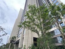成都长虹天樾?3室2厅东北