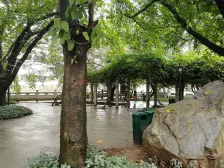 华岩新城 雅居乐九龙雅郡2组团三房83万