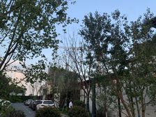 次新小区三室两卫,房本已出诚意出售电梯房