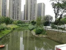 雅居乐九龙雅郡 3室1厅 东