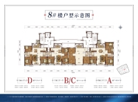 8#楼户型示意图