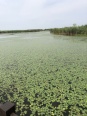 周边杭州湾湿地公园