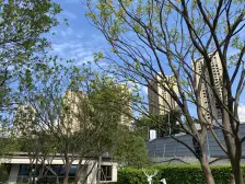 巴滨路龙湖物业 次新小区住家安静舒适