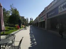 碧桂园新上房源大四室户型采光好业主诚心出售可议价