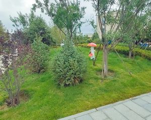 万枫美利山电梯中间楼层,纯毛坯任意装修,房本在手