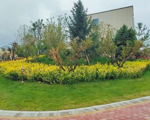 小区优美。楼层合适。业主急售。电梯房