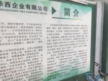 中晟会港湾工程进度实景图