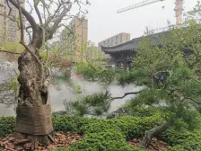 泗水和鸣 3室2厅 南