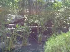 龙洲湾央企大盘次新小区,小区绿化好