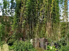 正规大四房,物业服务好,小区住家舒适,出行方便