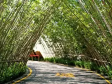 带花园大平层正看小区公园,视野开阔,小区环境幽美,